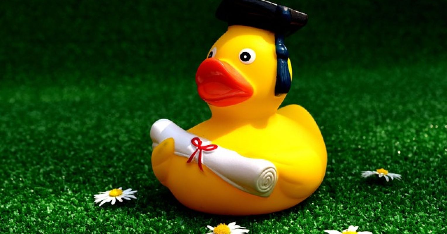 Can’t Solve a Problem? Try “Rubber Ducking” 1 rubber duck 2821371 640