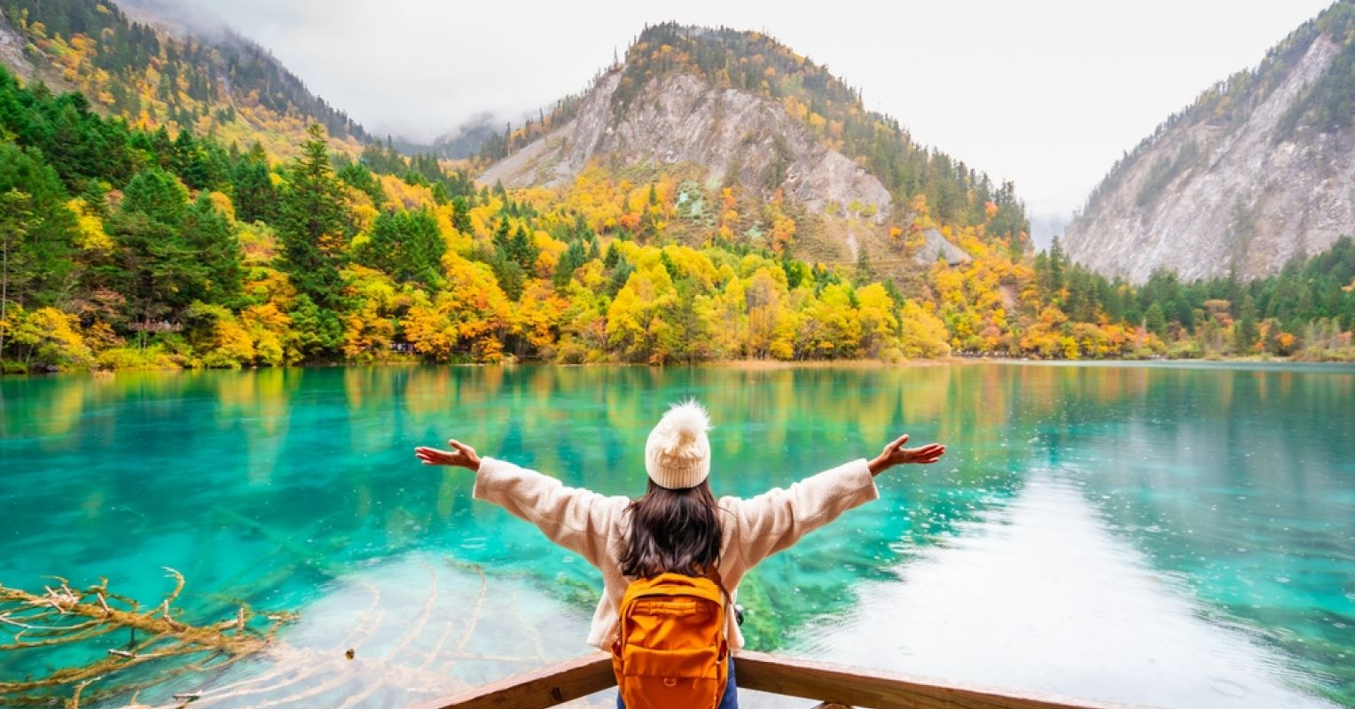 What’s in a Color? For Humans, a Great Deal 1 shutterstock 2502176507 0