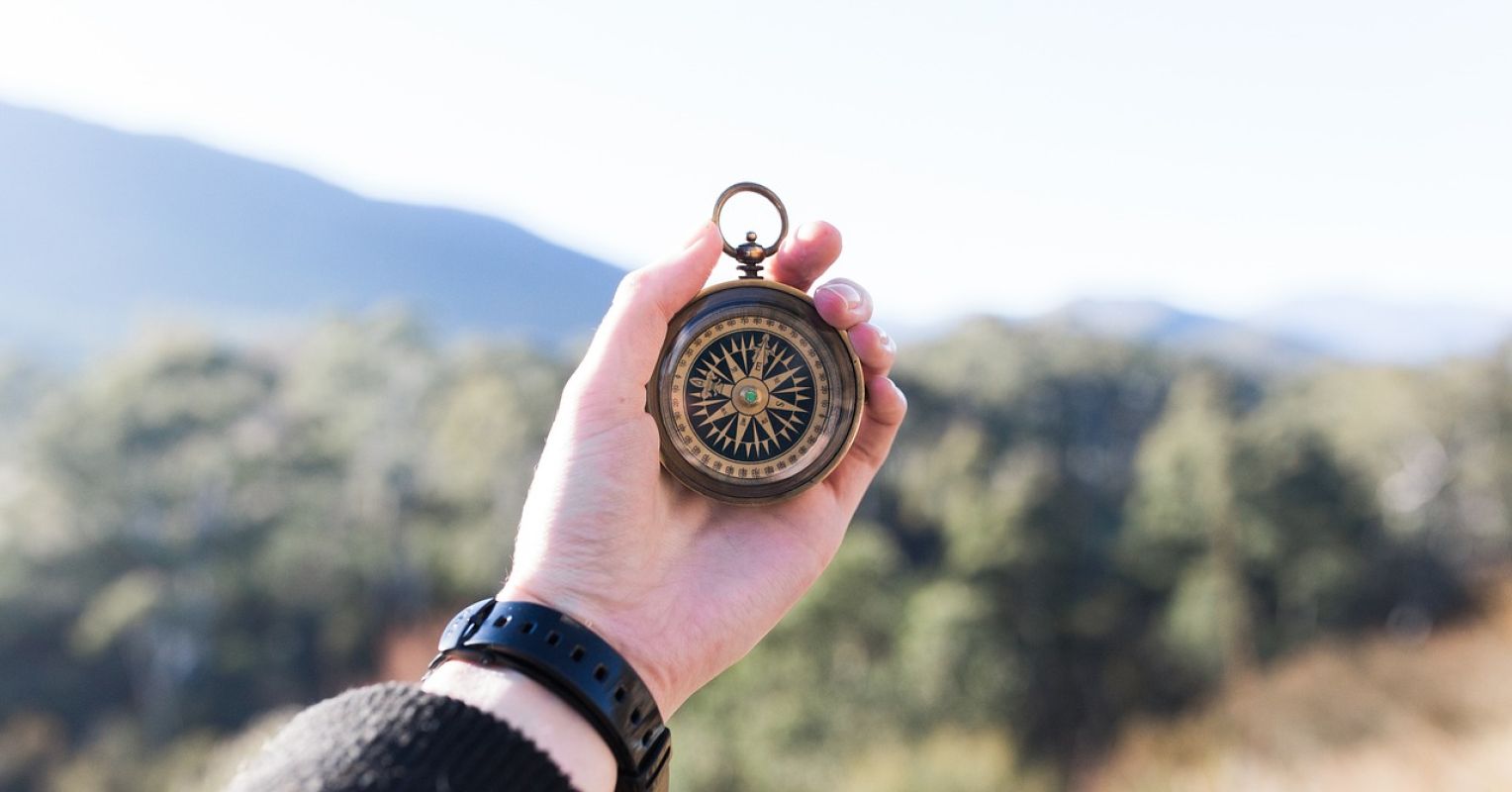 Living Well With Chronic Illness 1 compass